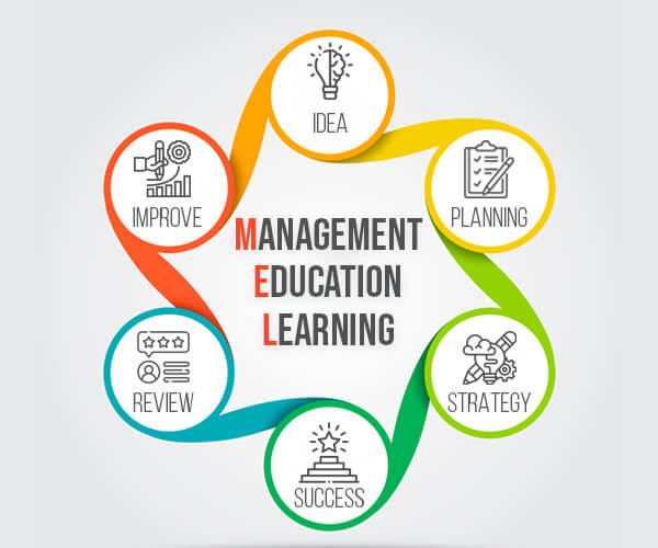 Explaining The Six Stages Of Management Education Learning